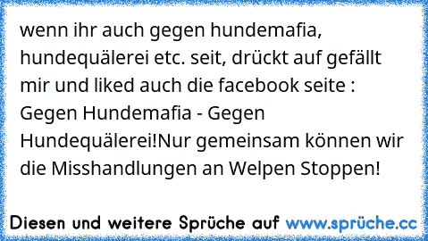 wenn ihr auch gegen hundemafia, hundequälerei etc. seit, drückt auf gefällt mir und liked auch die facebook seite :  Gegen Hundemafia - Gegen Hundequälerei!
Nur gemeinsam können wir die Misshandlungen an Welpen Stoppen!