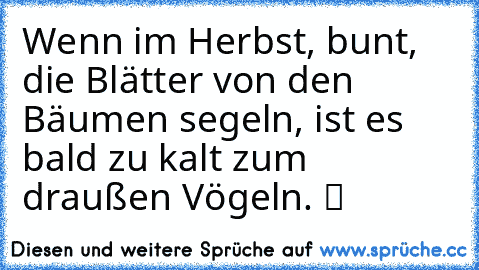 Wenn im Herbst, bunt, die Blätter von den Bäumen segeln, ist es bald zu kalt zum draußen Vögeln. ツ