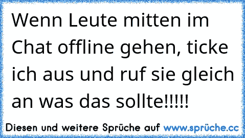 Wenn Leute mitten im Chat offline gehen, ticke ich aus und ruf sie gleich an was das sollte!!!!!