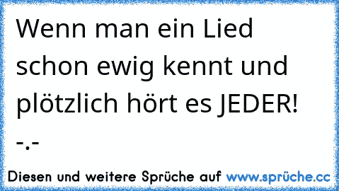 Wenn man ein Lied schon ewig kennt und plötzlich hört es JEDER! -.-