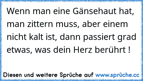 Wenn man eine Gänsehaut hat, man zittern muss, aber einem nicht kalt ist, dann passiert grad etwas, was dein Herz berührt ! ♥ ♥