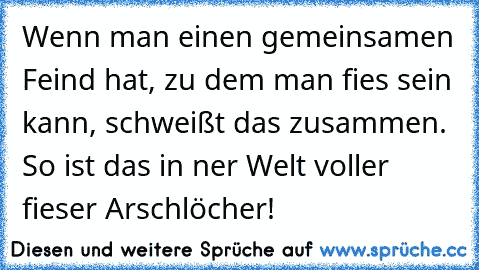 Wenn man einen gemeinsamen Feind hat, zu dem man fies sein kann, schweißt das zusammen. So ist das in ner Welt voller fieser Arschlöcher!