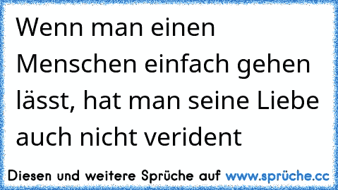 Wenn man einen Menschen einfach gehen lässt, hat man seine Liebe auch nicht verident