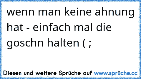 wenn man keine ahnung hat - einfach mal die goschn halten ( ;