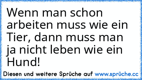 Wenn man schon arbeiten muss wie ein Tier, dann muss man ja nicht leben wie ein Hund!