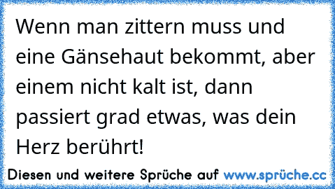 Wenn man zittern muss und eine Gänsehaut bekommt, aber einem nicht kalt ist, dann passiert grad etwas, was dein Herz berührt! ♥