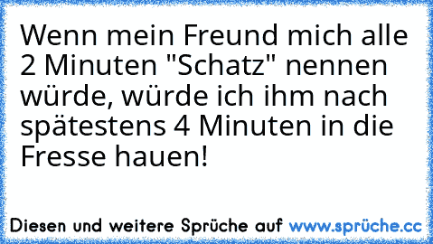 Wenn mein Freund mich alle 2 Minuten "Schatz" nennen würde, würde ich ihm nach spätestens 4 Minuten in die Fresse hauen!