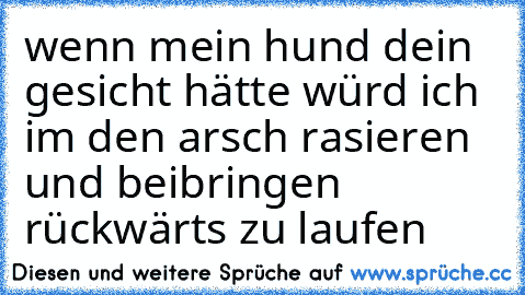 wenn mein hund dein gesicht hätte würd ich im den arsch rasieren und beibringen rückwärts zu laufen