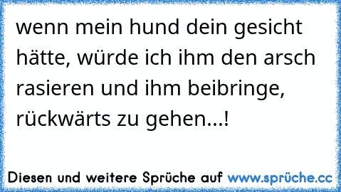 wenn mein hund dein gesicht hätte, würde ich ihm den arsch rasieren und ihm beibringe, rückwärts zu gehen...!