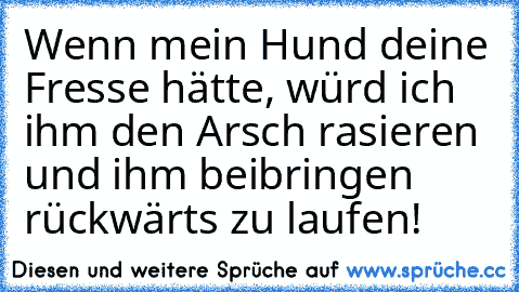 Wenn mein Hund deine Fresse hätte, würd ich ihm den Arsch rasieren und ihm beibringen rückwärts zu laufen!