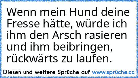 Wenn mein Hund deine Fresse hätte, würde ich ihm den Arsch rasieren und ihm beibringen, rückwärts zu laufen.