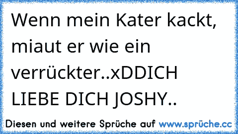 Wenn mein Kater kackt, miaut er wie ein verrückter..xDD
ICH LIEBE DICH JOSHY..♥