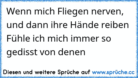 Wenn mich Fliegen nerven, und dann ihre Hände reiben Fühle ich mich immer so gedisst von denen