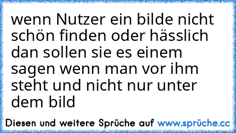 wenn Nutzer ein bilde nicht schön finden oder hässlich dan sollen sie es einem sagen wenn man vor ihm steht und nicht nur unter dem bild