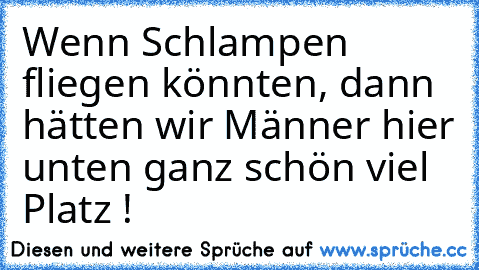 Wenn Schlampen fliegen könnten, dann hätten wir Männer hier unten ganz schön viel Platz !