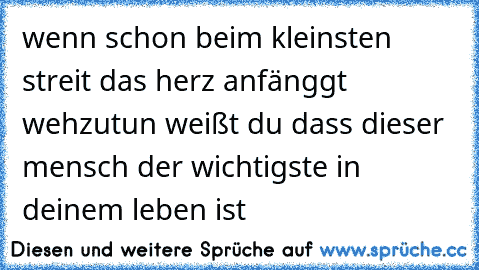 wenn schon beim kleinsten streit das herz anfänggt wehzutun weißt du dass dieser mensch der wichtigste in deinem leben ist ♥