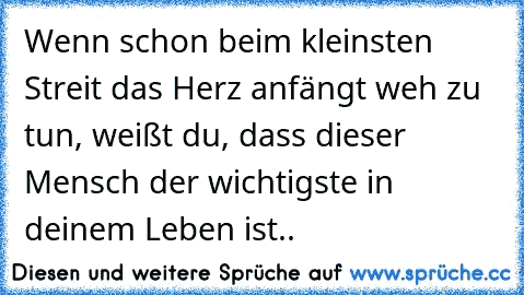 Wenn schon beim kleinsten Streit das Herz anfängt weh zu tun, weißt du, dass dieser Mensch der wichtigste in deinem Leben ist.. ♥