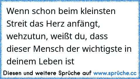 Wenn schon beim kleinsten Streit das Herz anfängt, wehzutun, weißt du, dass dieser Mensch der wichtigste in deinem Leben ist ♥