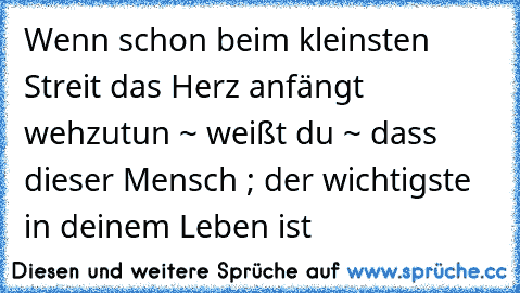 Wenn schon beim kleinsten Streit das Herz anfängt wehzutun ~ weißt du ~ dass dieser Mensch ; der wichtigste in deinem Leben ist ♥