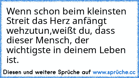 Wenn schon beim kleinsten Streit das Herz anfängt wehzutun,
weißt du, dass dieser Mensch, der wichtigste in deinem Leben ist.