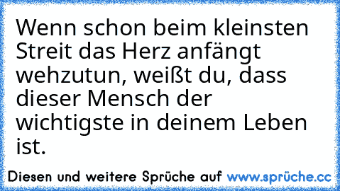 Wenn schon beim kleinsten Streit das Herz anfängt wehzutun, weißt du, dass dieser Mensch der wichtigste in deinem Leben ist.♥