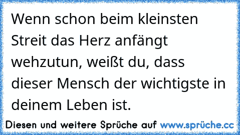 Wenn schon beim kleinsten Streit das Herz anfängt wehzutun, weißt du, dass dieser Mensch der wichtigste in deinem Leben ist. ♥