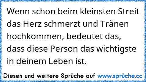 Wenn schon beim kleinsten Streit das Herz schmerzt und Tränen hochkommen, bedeutet das, dass diese Person das wichtigste in deinem Leben ist.