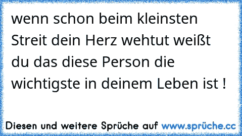 wenn schon beim kleinsten Streit dein Herz wehtut weißt du das diese Person die wichtigste in deinem Leben ist ! ♥