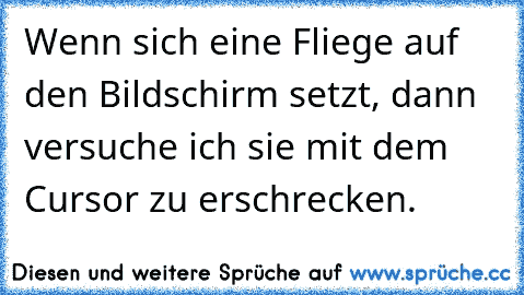 Wenn sich eine Fliege auf den Bildschirm setzt, dann versuche ich sie mit dem Cursor zu erschrecken.