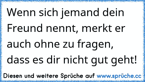 Wenn sich jemand dein Freund nennt, merkt er auch ohne zu fragen, dass es dir nicht gut geht! ♥