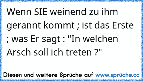 Wenn SIE weinend zu ihm gerannt kommt ; ist das Erste ; was Er sagt : "In welchen Arsch soll ich treten ?" ♥