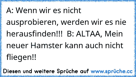 A: Wenn wir es nicht ausprobieren, werden wir es nie herausfinden!!!  B: ALTAA, Mein neuer Hamster kann auch nicht fliegen!!