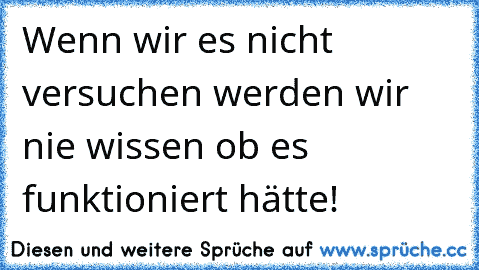 Wenn wir es nicht versuchen werden wir nie wissen ob es funktioniert hätte!