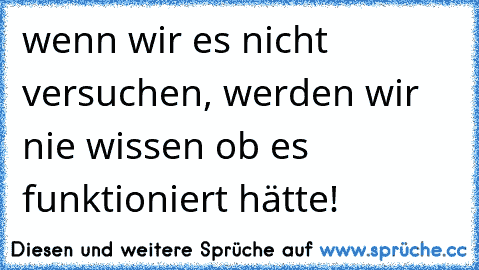 wenn wir es nicht versuchen, werden wir nie wissen ob es funktioniert hätte!