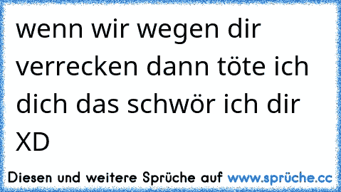 wenn wir wegen dir verrecken dann töte ich dich das schwör ich dir  XD