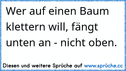 Wer auf einen Baum klettern will, fängt unten an - nicht oben.