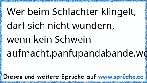 Wer beim Schlachter klingelt, darf sich nicht wundern, wenn kein Schwein aufmacht.
panfupandabande.wordpress.com