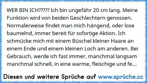 WER BIN ICH????? Ich bin ungefähr 20 cm lang. Meine Funktion wird von beiden Geschlechtern genossen. Normalerweise findet man mich hängend, oder lose baumelnd, immer bereit für sofortige Aktion. Ich schmücke mich mit einem Büschel kleiner Haare an einem Ende und einem kleinen Loch am anderen. Bei Gebrauch, werde ich fast immer, manchmal langsam manchmal schnell, in eine warme, fleischige und fe...