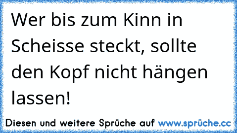 Wer bis zum Kinn in Scheisse steckt, sollte den Kopf nicht hängen lassen!