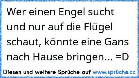 Wer einen Engel sucht und nur auf die Flügel schaut, könnte eine Gans nach Hause bringen... =D