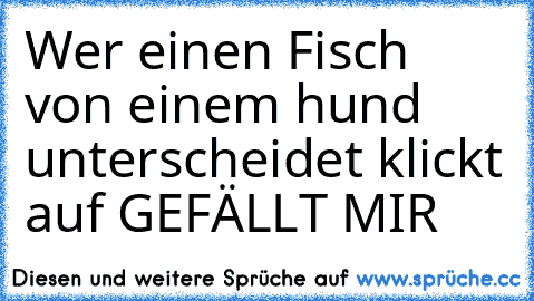 Wer einen Fisch von einem hund unterscheidet klickt auf GEFÄLLT MIR