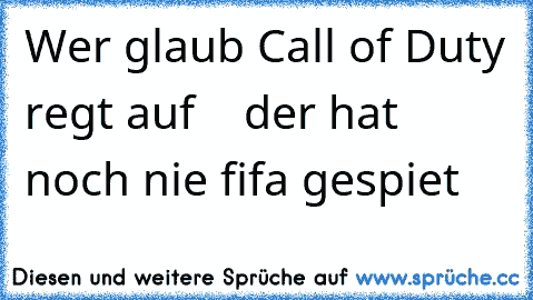 Wer glaub Call of Duty regt auf    der hat noch nie fifa gespiet