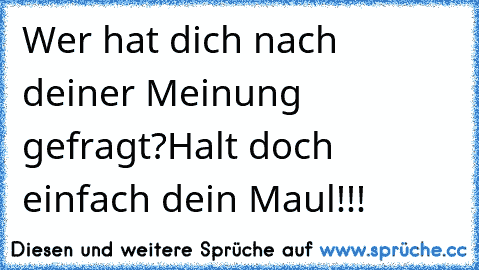 Wer hat dich nach deiner Meinung gefragt?
Halt doch einfach dein Maul!!!