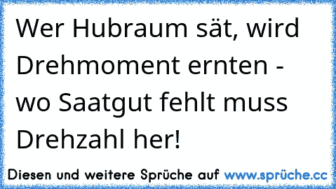 Wer Hubraum sät, wird Drehmoment ernten - wo Saatgut fehlt muss Drehzahl her!