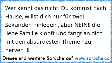 Wer kennt das nicht: Du kommst nach Hause, willst dich nur für zwei Sekunden hinlegen , aber NEIN!! die liebe Familie klopft und fängt an dich mit den absurdesten Themen zu nerven !!!