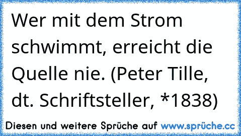 Wer mit dem Strom schwimmt, erreicht die Quelle nie. (Peter Tille, dt. Schriftsteller, *1838)