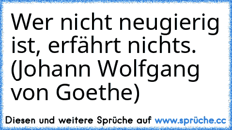 Wer nicht neugierig ist, erfährt nichts. (Johann Wolfgang von Goethe)