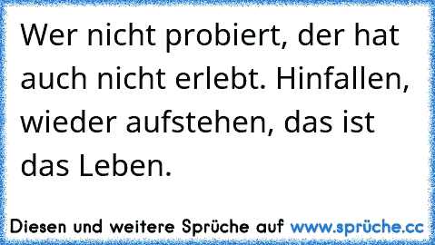 Wer nicht probiert, der hat auch nicht erlebt. Hinfallen, wieder aufstehen, das ist das Leben.