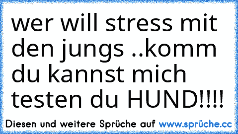 wer will stress mit den jungs ..komm du kannst mich testen du HUND!!!!