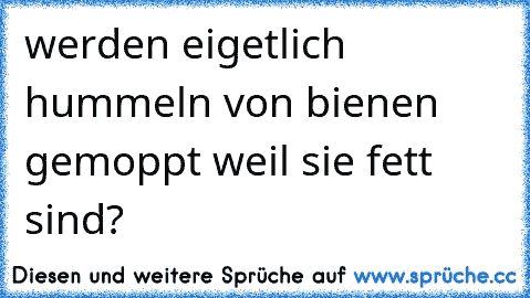 werden eigetlich hummeln von bienen gemoppt weil sie fett sind?